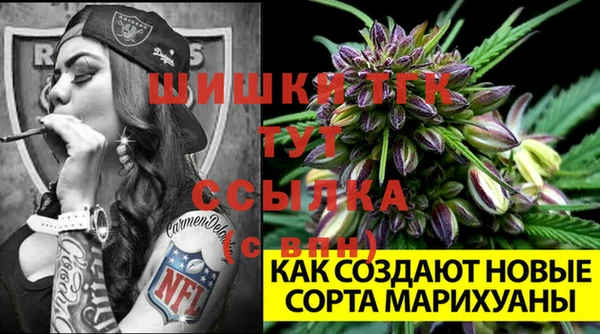 ПСИЛОЦИБИНОВЫЕ ГРИБЫ Бронницы