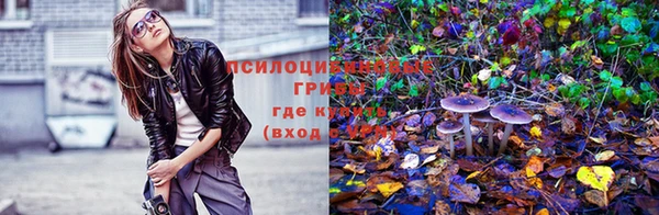 МДМА Бородино