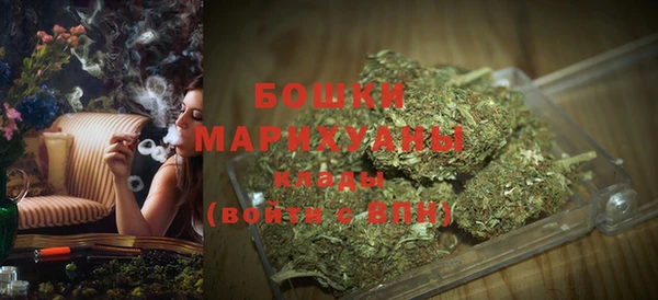 ПСИЛОЦИБИНОВЫЕ ГРИБЫ Бронницы